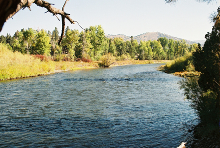 [The river, more like a wide stream, widens at this point. The far shore is mostly level with the river, but tall mountains can be see in the distance.]